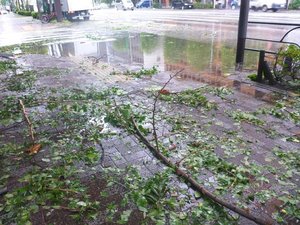 2019台風1.jpg