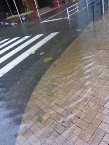 2019台風2.jpg